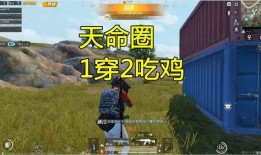 嗜血公路在线观看,惊悚之旅，生死时速的极限挑战